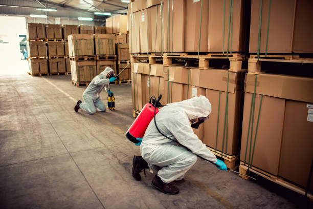 Best Pest Control Near Me  in Fallbrook, CA