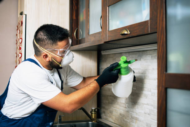 Best Ant Control Services  in Fallbrook, CA