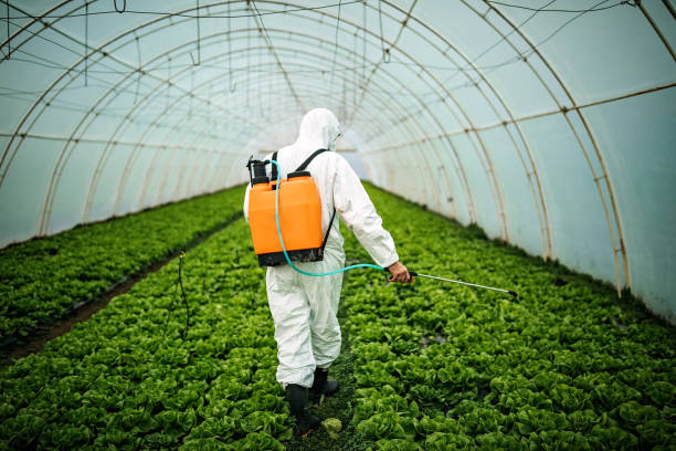 Best Pest Prevention Services  in Fallbrook, CA