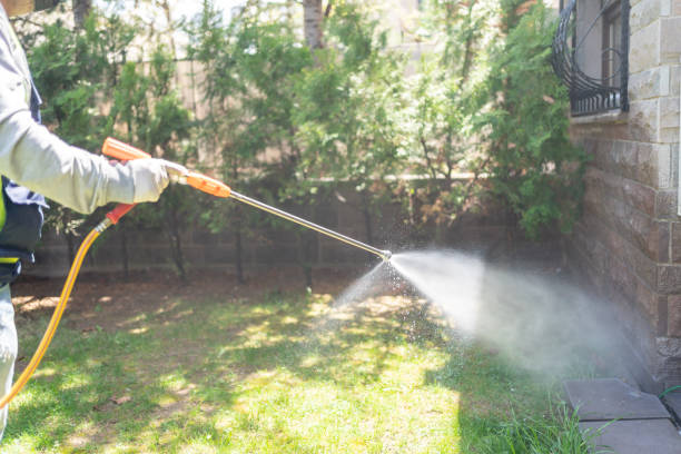 Best Pest Inspection Near Me  in Fallbrook, CA