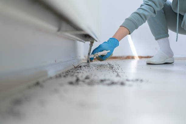 Best Best Pest Control Companies  in Fallbrook, CA